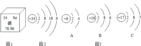 元素硒與視力有何關(guān)系