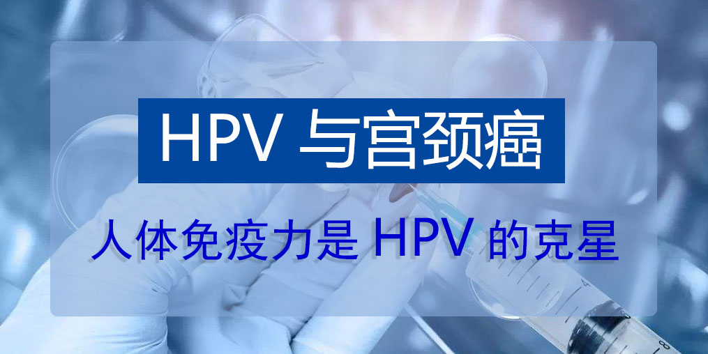 HPV病毒真的那么可怕嗎？人體免疫力是HPV的克星