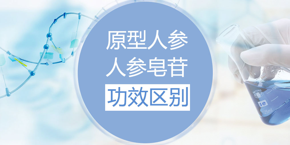 人參和人參皂苷的功效區(qū)別在哪里？