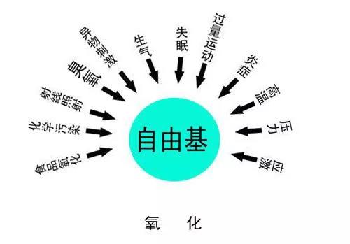 自由基是萬病之源，補(bǔ)硒可以有效清除自由基