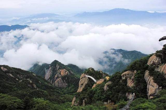 大別山的靈芝孢子粉為什么好？